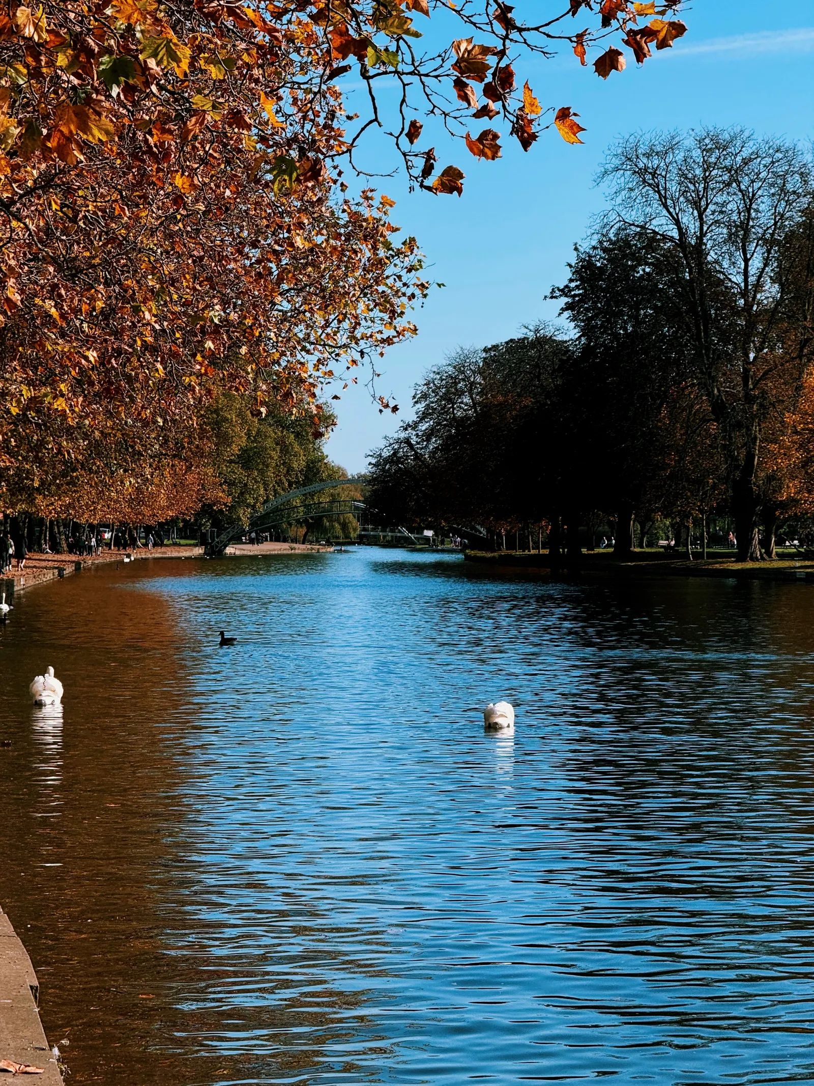 The riverside Embankment in Bedford