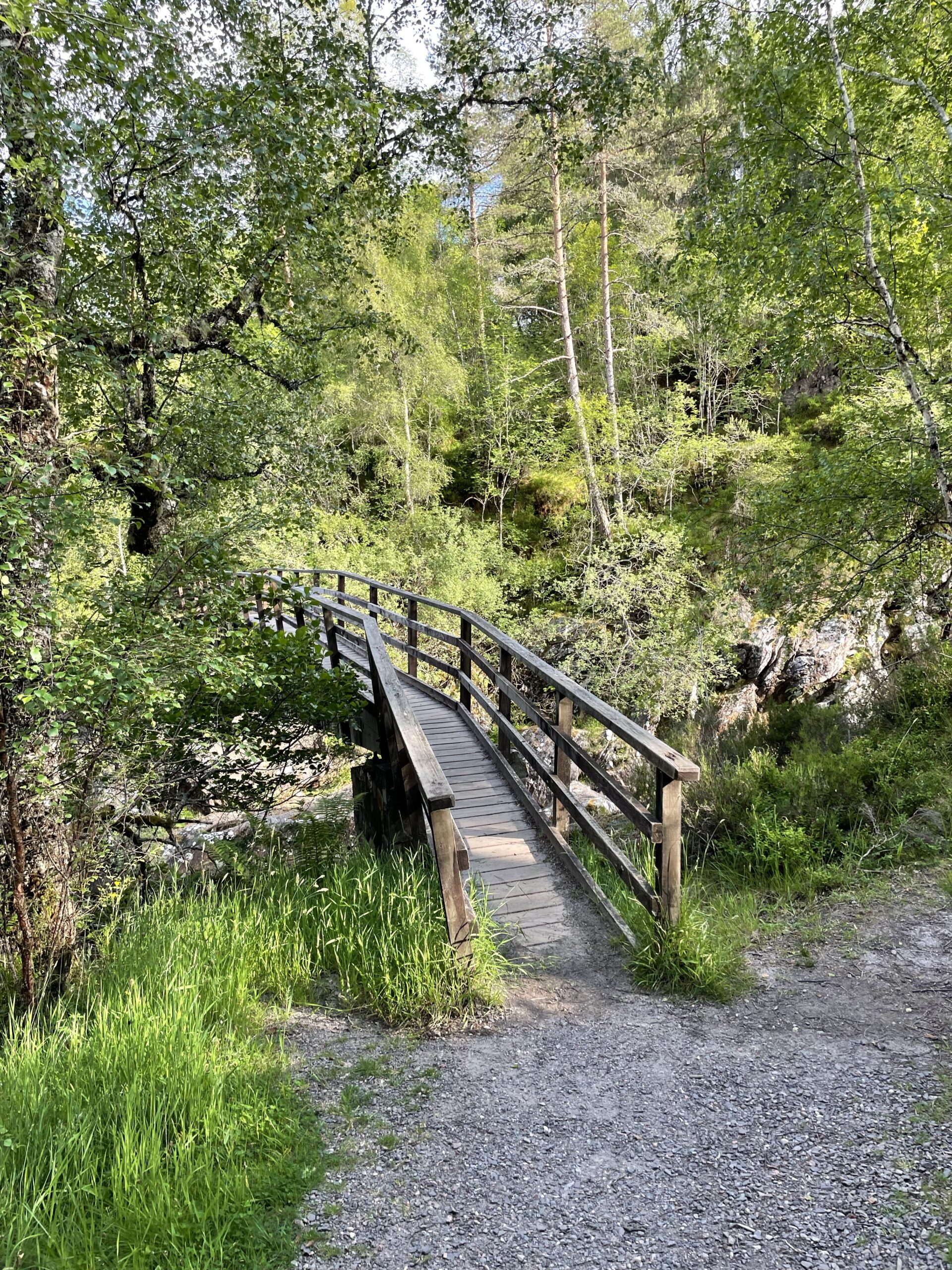 A narrow wooden footpath in Glen Affric